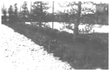 Haven i Ravnse og et kig ind i naboen Ingemann Larsens have. 1941.