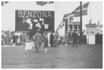 Dyrskuet på Bellahøj 1946.