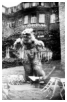 Et dobbeltbillede, kameraerne var ikke idiotsikre dengang. Hotel Der Agtermann i Goslar vi boede i. Og bjørnen på toppen af bjerget i Bad Harzburg. 1953.